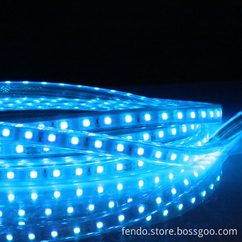 220V SMD 5050 RGB LED Strip Light, 96 Leds, PVC Cover, Waterproof IP65, Flexible